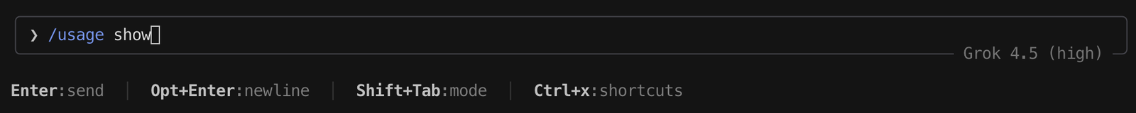 Grok Build terminal prompt containing the usage command